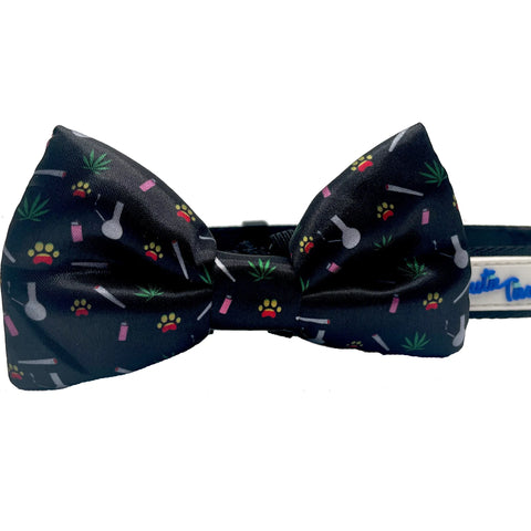 Cutie Ties Fun Design Dog Collar