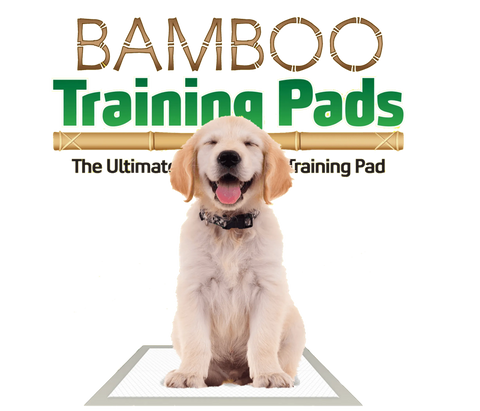 Bamboo Training Pads