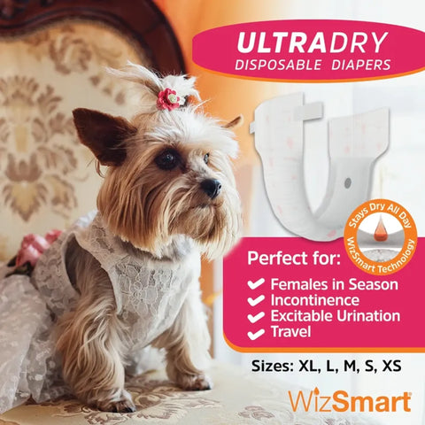 WizSmart UltraDry Disposable Diapers