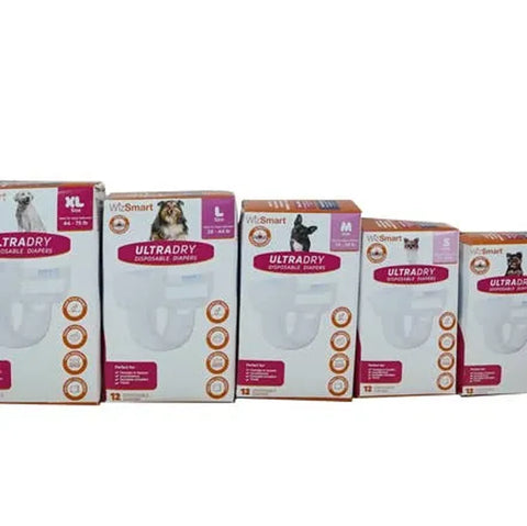 WizSmart UltraDry Disposable Diapers