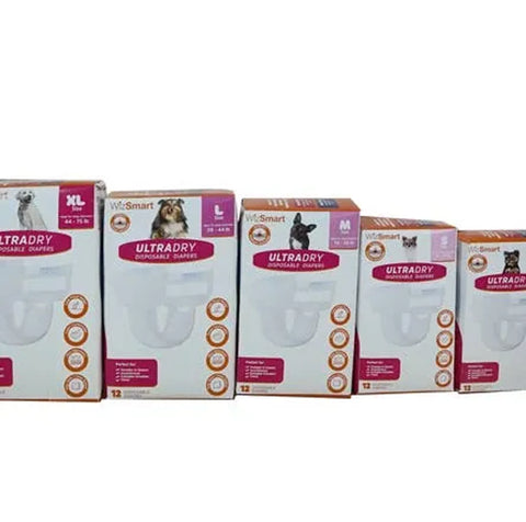 WizSmart UltraDry Disposable Diapers