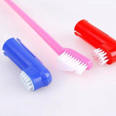 Pets Toothbrush Set