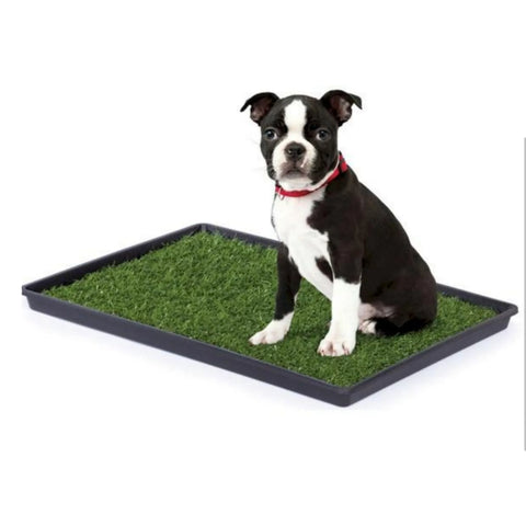 Mr. Peanut's Potty Place - Artificial Grass Puppy Pad for Dogs and Small Pets