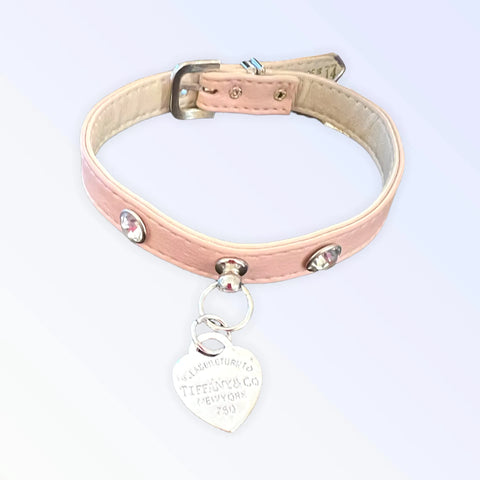 Pretty in Pink and Sniffany Collar