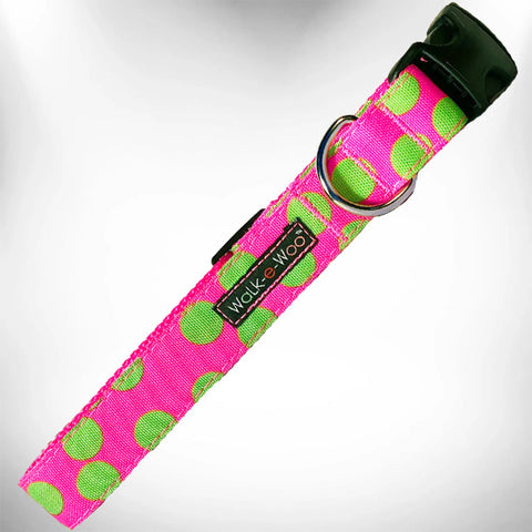 Polka Dot Dog - Neon Collars