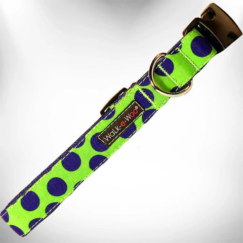 Polka Dot Dog - Neon Collars