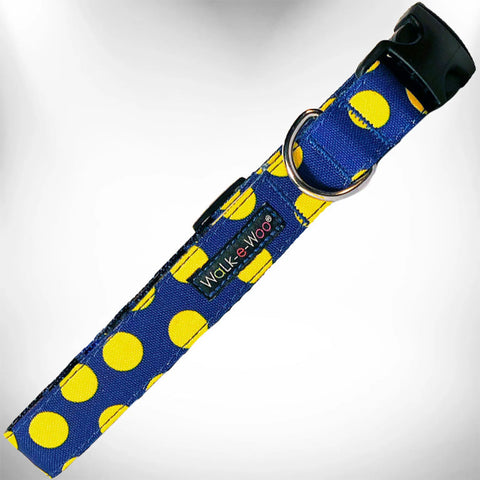 Polka Dot Dog - Neon Collars