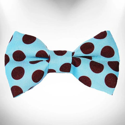 Polka Dot Dog Bow Tie