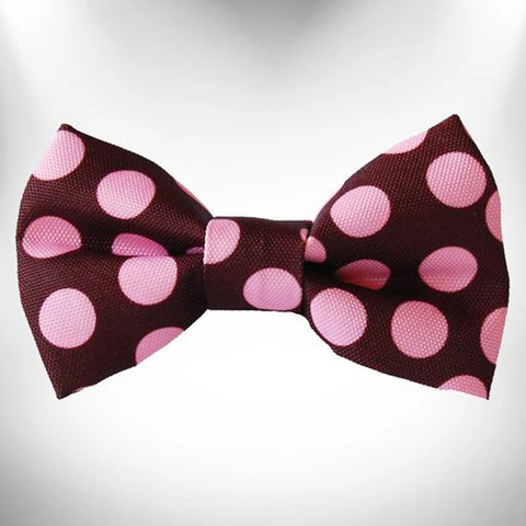 Polka Dot Dog Bow Tie