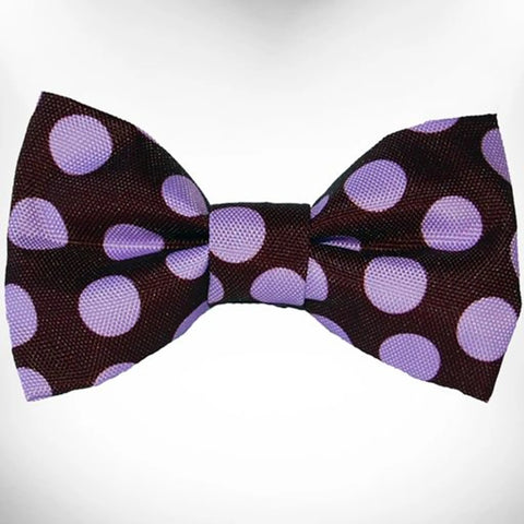 Polka Dot Dog Bow Tie