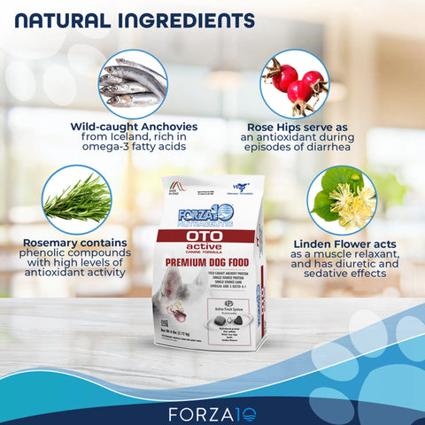 Forza10 Active Oto Support Diet Dry Dog Food