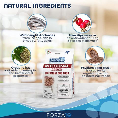 Forza10 Active Intestinal Support Diet Dry Dog Food