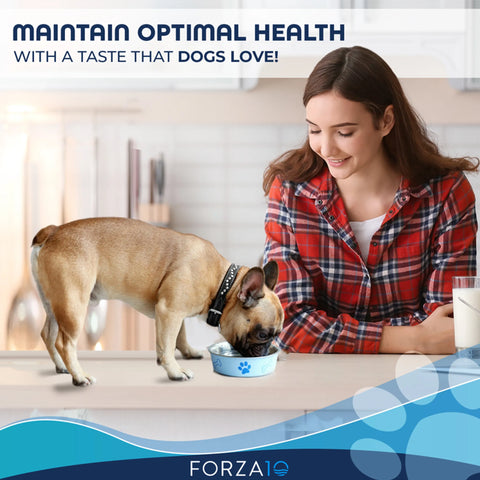 Forza10 Maintenance Evolution Lamb Dry Dog Food