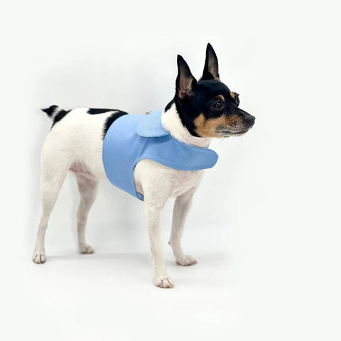 DCNY Periwinkle Harness Vest