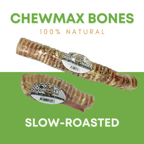 Beef Trachea Dog Chews