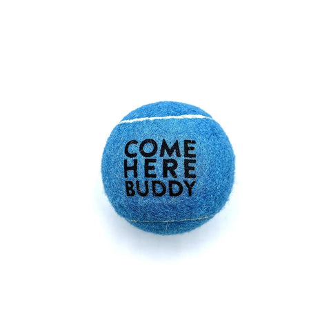 Set of 4 Come Here Buddy Tennis Balls in Sky Blue