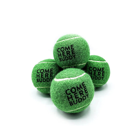 Set of 4 Come Here Buddy Tennis Balls in Green