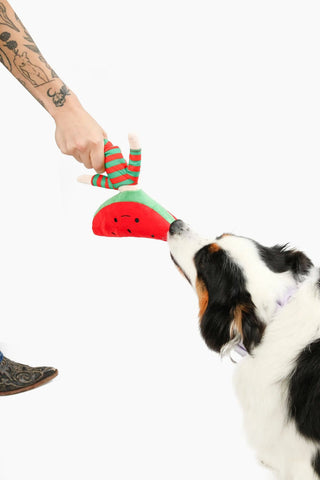 Watermelon Nosework Dog Toy