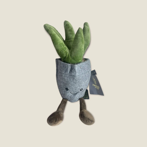 NANDOG My BFF Succulent Pot