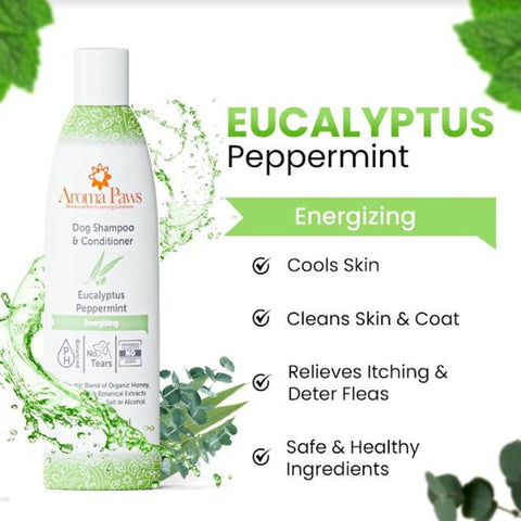 13.5 Oz. Shampoo Eucalyptus Peppermint