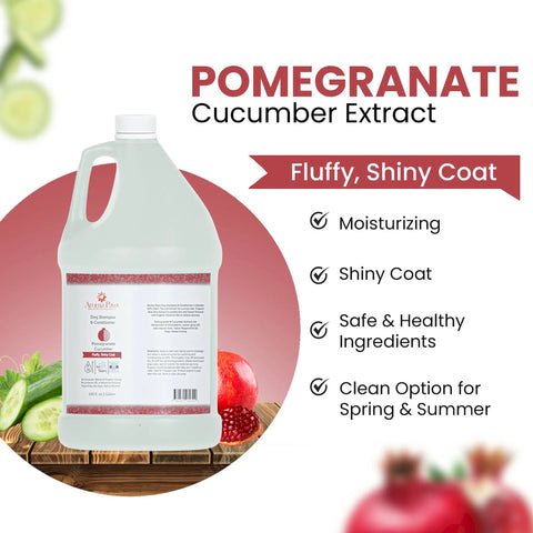 Gallon Shampoo Pomegranate Cucumber