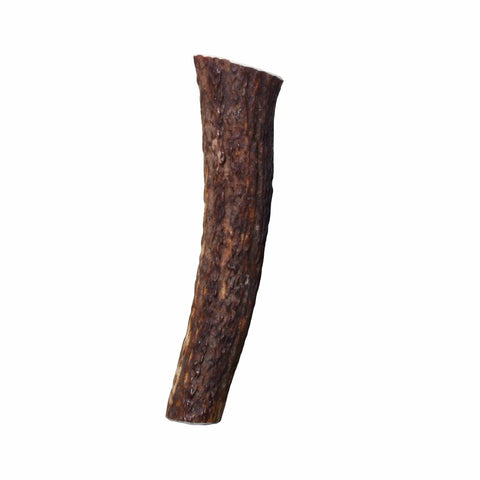 KONG(R) Wild Antler Whole