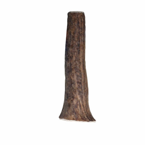 KONG(R) Wild Antler Whole