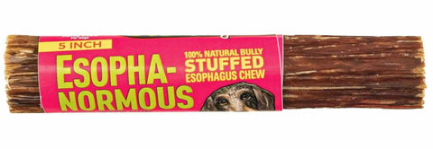 Etta Says! Esopha-normous Bully Stuffed Esophagus Chew Indiv.