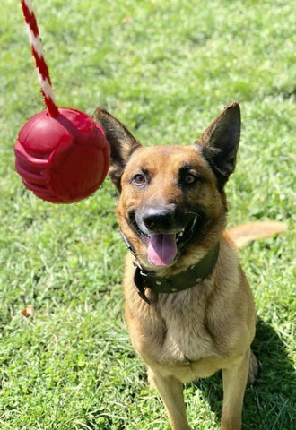 USA-K9 Stars and Stripes Ultra-Durable Rubber Chew Ball