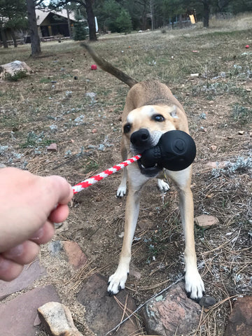 USA-K9 Skull Durable Rubber Chew Toy, Treat Dispenser, Reward Toy, Tug Toy, and Retrieving Toy