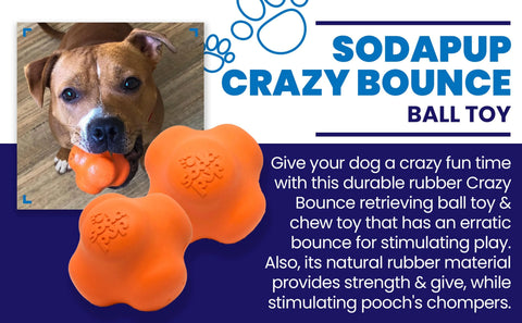 SP Crazy Bounce Ultra Durable Rubber Chew & Retrieving Toy