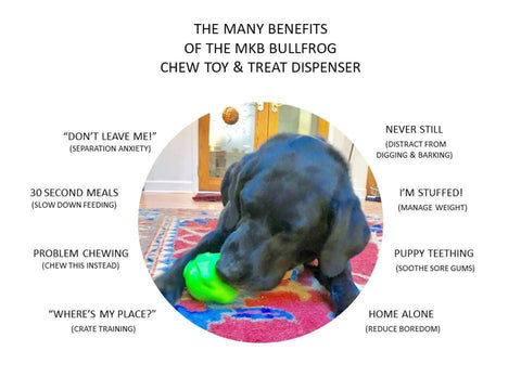 MKB Bull Frog Durable Rubber Chew Toy & Treat Dispenser