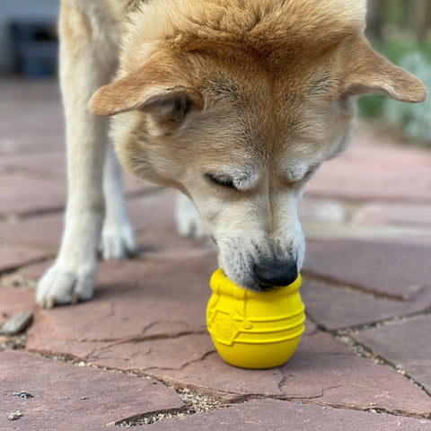 Large Honey Pot Durable Rubber Treat Dispenser & Enrichment Toy