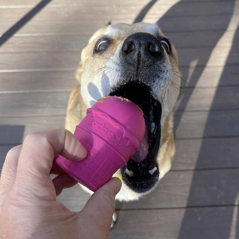 SP Ice Cream Cone Durable Rubber Chew Toy and Treat Dispenser