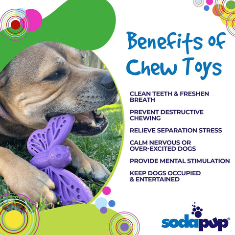 SP Butterfly Chew and Enrichment Toy