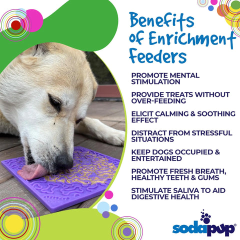 Bones Design eMat Enrichment Lick Mat