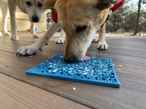 Jigsaw Design eMat Enrichment Lick Mat