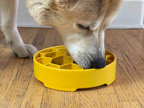 Honeycomb Design eBowl Enrichment Slow Feeder Bowl for Dogs