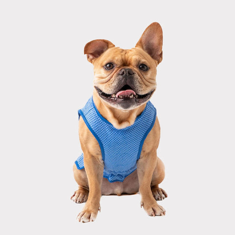 GF Pet ElastoFit Ice Vest