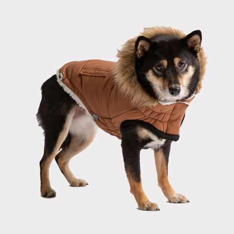 GF Pet ElastoFit Urban Dog Parka