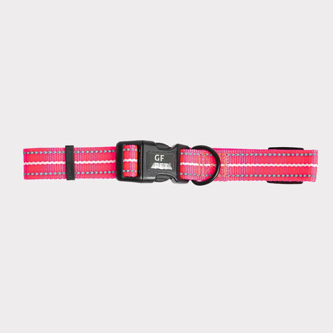 GF Pet  Reflective Collar