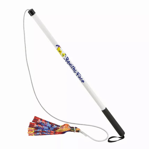 Flirt Pole V2 Dog Toy with Lure